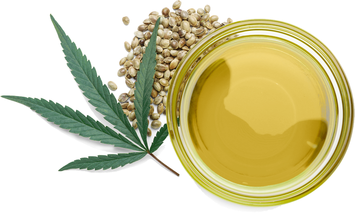 cbd в россии